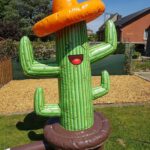 cactus ringgooien