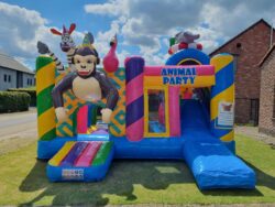 Animal party