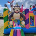 Animal party